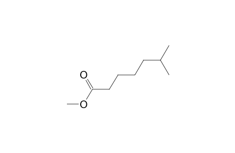 Methyl 6-methyl heptanoate