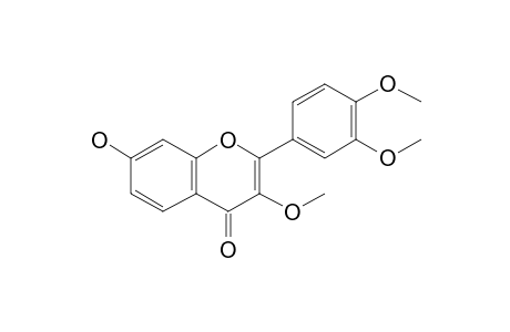 2-(3,4-Dimethoxyphenyl)-7-hydroxy-3-methoxy-4H-chromen-4-one