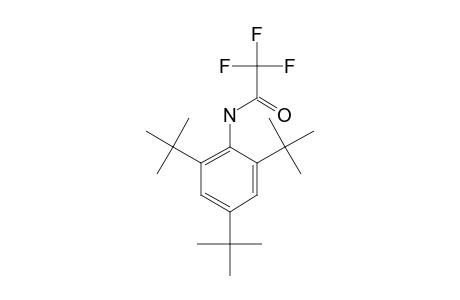 2,4,6-tri-Tert-butylaniline, N-trifluoroacetyl-