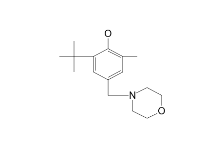 6-tert-BUTYL-alpha4-MORPHOLINO-2,4-XYLENOL