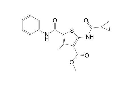 methyl 5-(anilinocarbonyl)-2-[(cyclopropylcarbonyl)amino]-4-methyl-3-thiophenecarboxylate