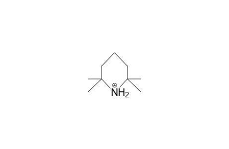 2,2,6,6-Tetramethyl-piperidinium cation