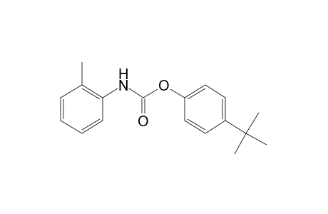 o-methylcarbanilic acid, p-tert-butylphenyl ester