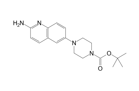 tert-Butyl 4-(2-aminoquinolin-6-yl)piperazine-1-carboxylate