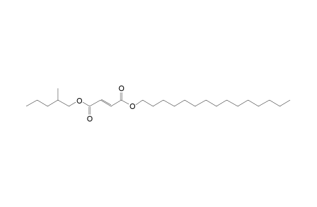 Fumaric acid, 2-methylpentyl pentadecyl ester