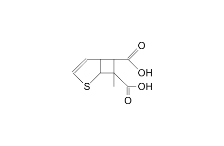 7-METHYL-2-THIABICYCLO-[3.2.0]-HEPT-3-EN-6,7-DICARBONSAEURE