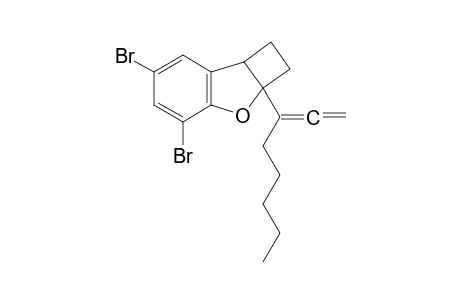 4,6-dibromo-2a-(1-vinylidenehexyl)-2,7b-dihydro-1H-cyclobuta[b]benzofuran