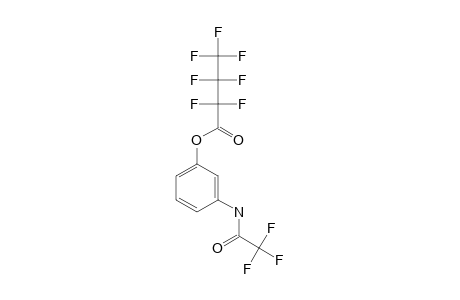 3-Aminophenol, N-trifluoroacetyl-, heptafluorobutyrate