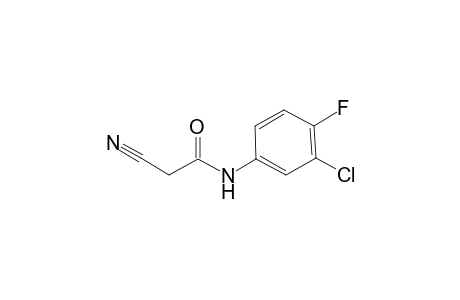 acetamide, N-(3-chloro-4-fluorophenyl)-2-cyano-
