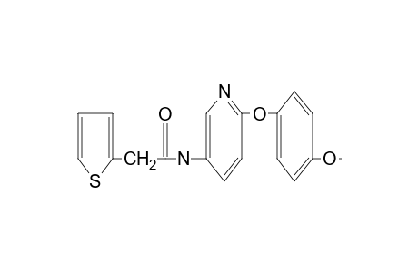 N-[6-(p-methoxyphenoxy)-3-pyridyl]-2-thiopheneacetamide