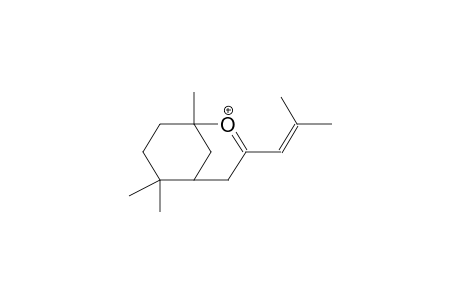 1,6,6-TRIMETHYL-3-ISOBUTENYL-2-OXONIABICYCLO[3.3.1]DEC-2-ENE CATION