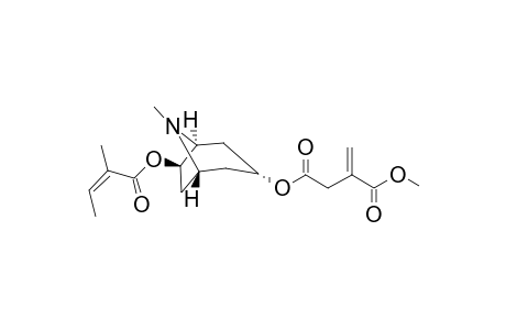 3.alpha.-(1-Methylitaconyl)-6.beta.-angeloyloxytropane