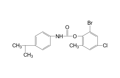 p-isopropylcarbanilic acid, 6-bromo-4-chloro-o-tolyl ester