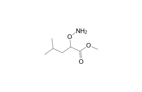 Methyl 2-(aminooxy)-4-methylpentanoate