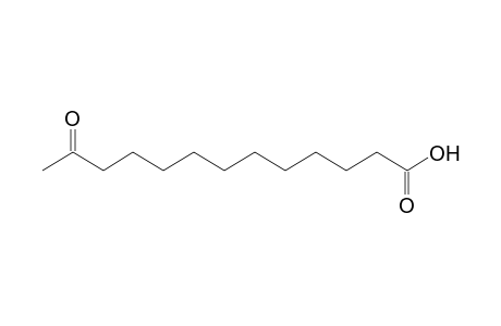 12-Oxotridecanoic acid