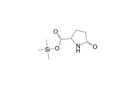 Pyroglutamic acid TMS