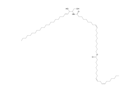 Cer 24:1;2O/19:1;O(FA 19:2)