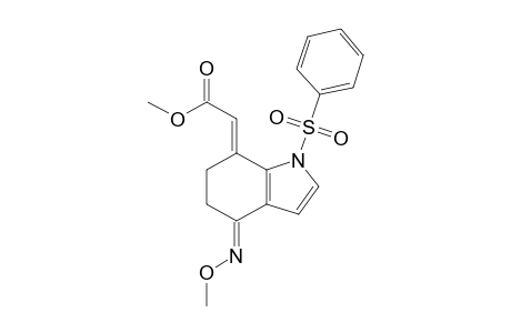 7-Methoxycarbonylmethylene-4-methoxyimino-1-(phenylsulfonyl)-4,5,6,7-tetrahydro-1H-indole isomer