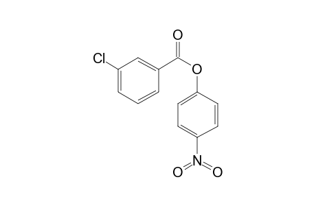 3-Chlorobenzoic acid, 4-nitrophenyl ester