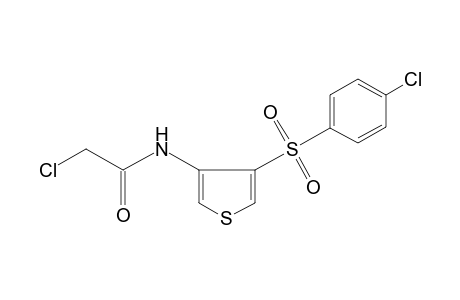 2-chloro-N-{4-[(p-chlorophenyl)sulfonyl]-3-thienyl}acetamide