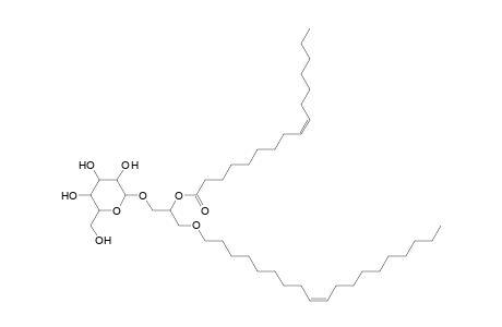 MGDG O-19:1_16:1