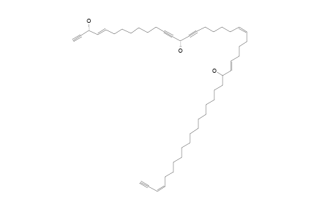 PETROCORTYNE_H