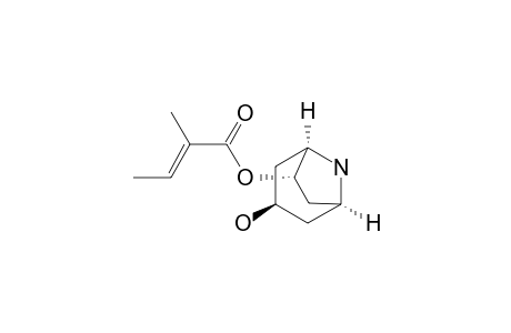 2-Butenoic acid, 2-methyl-, 3-hydroxy-8-azabicyclo[3.2.1]oct-6-yl ester, [1S-[1.alpha.,3.beta.,5.alpha.,6.alpha.(E)]]-