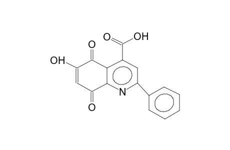 2-phenyl-5,8-dioxo-6-hydroxy-5,8-dihydroquinoline-4-carboxylic acid