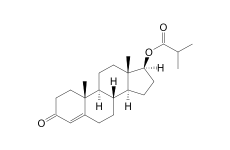 Testosterone isobutyrate