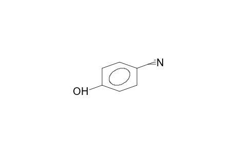 4-Hydroxy-benzonitrile