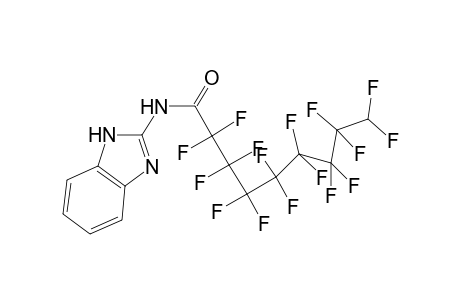 N-(1H-benzimidazol-2-yl)-2,2,3,3,4,4,5,5,6,6,7,7,8,8,9,9-hexadecafluorononanamide