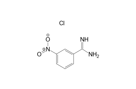 m-nitrobenzamidine, hydrochloride