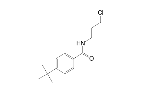 p-tert-butyl-N-(3-chloropropyl)benzamide