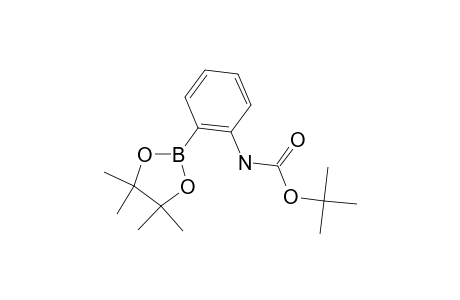 2-(N-Boc-amino)phenylboronic acid pinacol ester