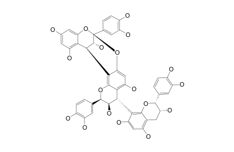 CINNAMTANNIN_B-1