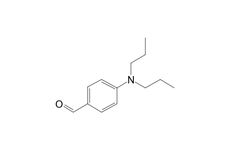 4-Dipropylamino-benzaldehyde