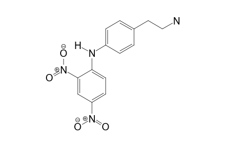 N-(4-(2-aminoethyl)phenyl)-2,4-dinitroaniline