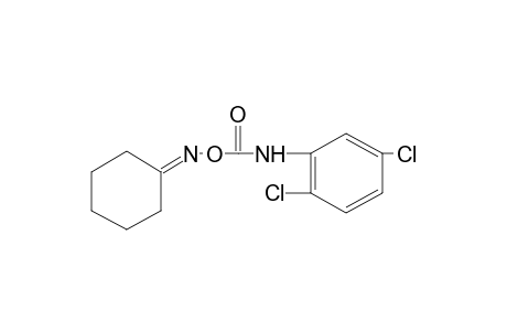 cyclohexanone, O-[(2,5-dichlorophenyl)carbamoyl]oxime