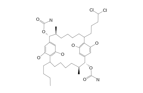 CARBAMIDOCYCLOPHANE_C