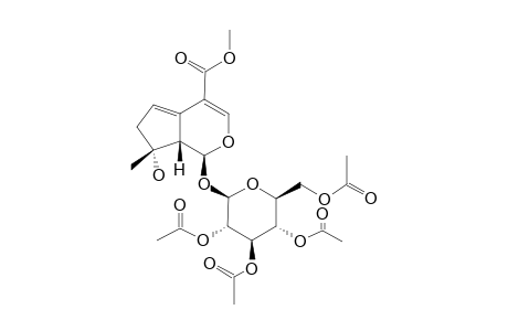 5-DEHYDRO-8-EPI-MUSSAENOSIDE-TETRAACETATE