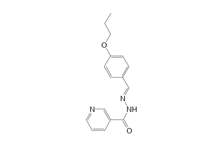 N'-[(E)-(4-propoxyphenyl)methylidene]nicotinohydrazide