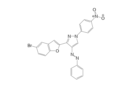 3-(5-bromobenzofuran-2-yl)-1-(4-nitrophenyl)-4-(phenyldiazenyl)-1H-pyrazole