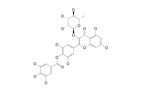 4'-O-GALLOYL-MYRICETIN-3-O-ALPHA-L-RHAMNOPYRANOSIDE