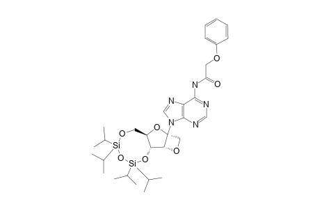 9-[1',3'-O-ANHYDRO-4',6'-O-(TETRAISOPROPYLDISILOXANE-1,3-DIYL)-BETA-D-PSICOFURANOSYL]-N-(6)-(PHENOXYACETYL)-ADENINE