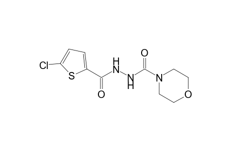 N'-(5-chloranylthiophen-2-yl)carbonylmorpholine-4-carbohydrazide