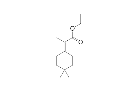 ETHYL-2-(4-DIMETHYL-CYCLOHEXYLIDENE)-PROPANOATE