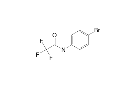 4-Bromoaniline, N-trifluoroacetyl-