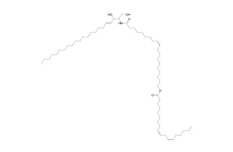 Cer 22:1;2O/19:1;O(FA 18:2)