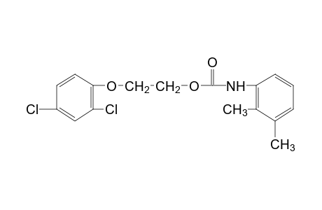 2-(2,4-dichlorophenoxy)ethanol, 2,3-dimethylcarbanilate