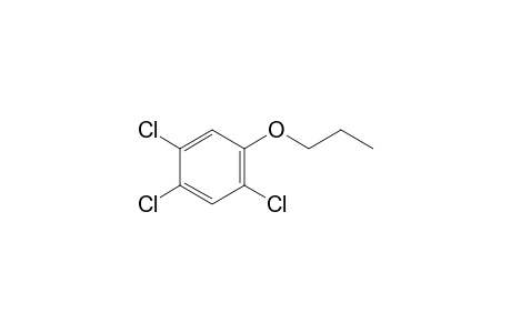 2,4,5-Trichlorophenol, N-propyl ether